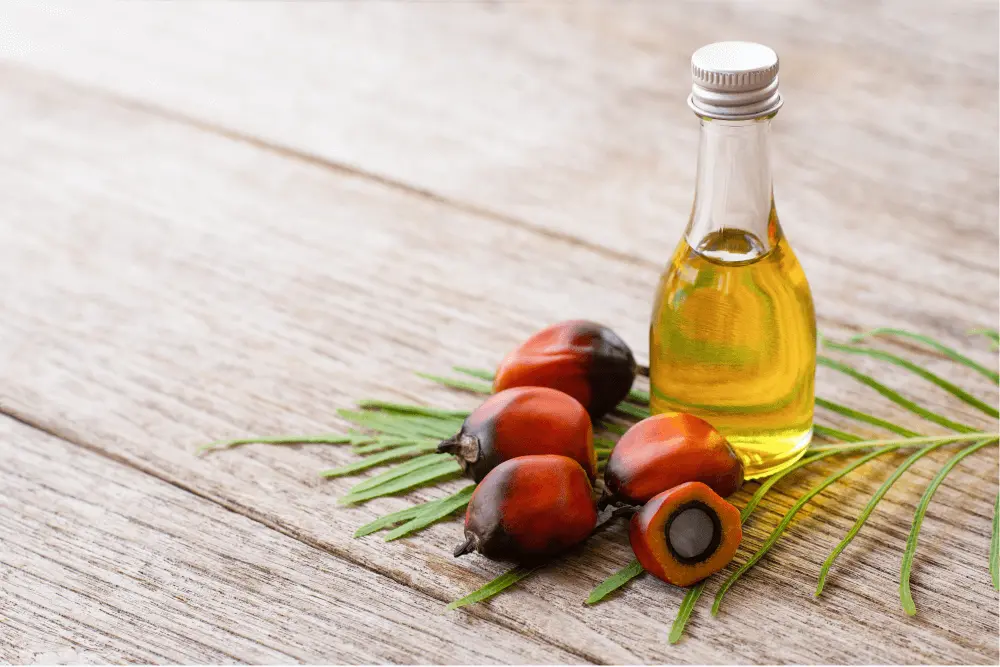 Palm Oil