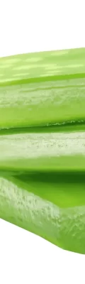 Aloe Vera -Narico