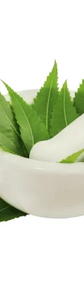 Neem - Narico